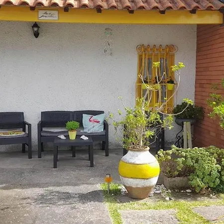 Casa Amarela * Esmoriz