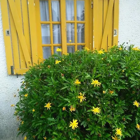 Casa Amarela *